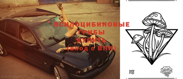 прущие грибы Алексин