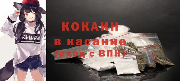 стаф Алзамай