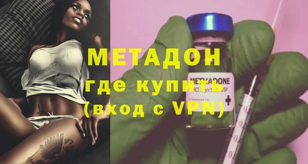 стаф Алзамай