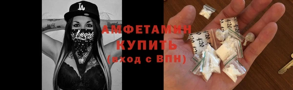 молекула духа Алексеевка