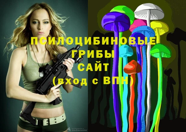 стаф Алзамай