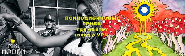 прущие грибы Алексин