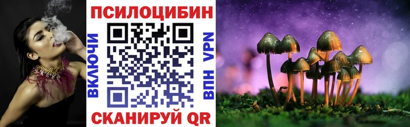 закладка  Пущино  МЕГА ссылки  Галлюциногенные грибы Psilocybine cubensis 